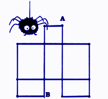 Her brother, Wiggly made a web using rectangles. How many rectangles can you see in his web