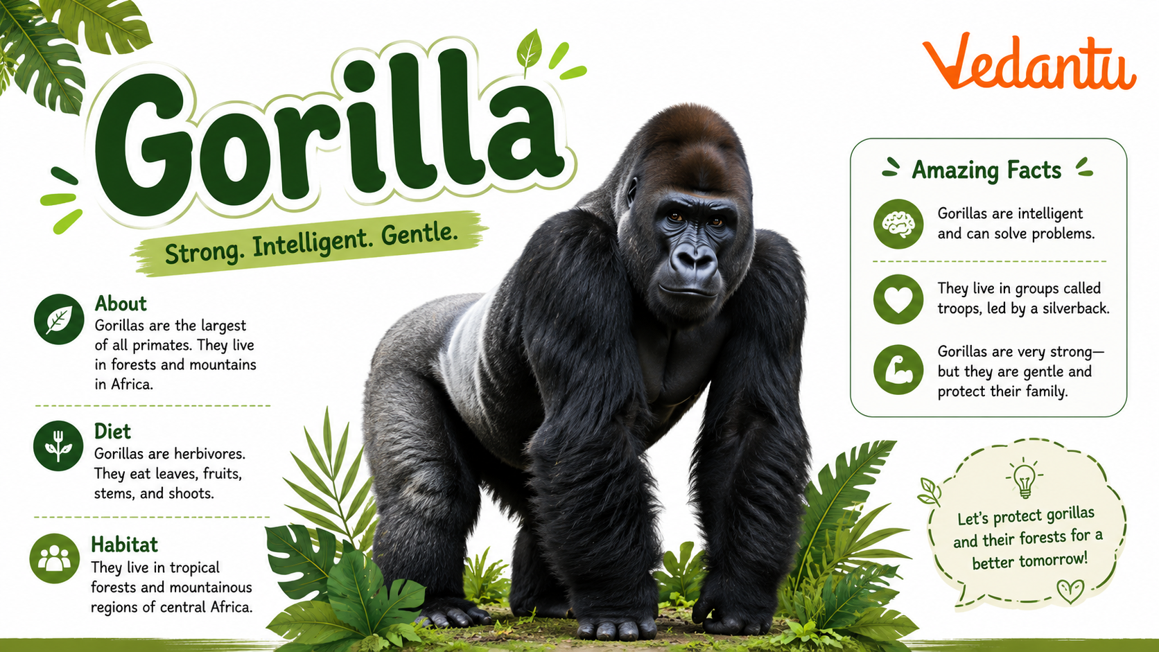 Gorilla in natural forest habitat