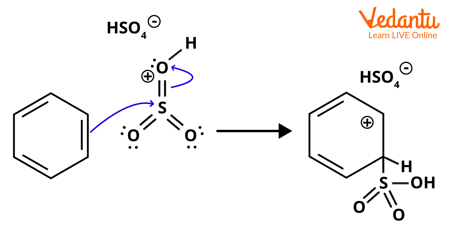 Step 2: Electrophilic attack and carbocation formation