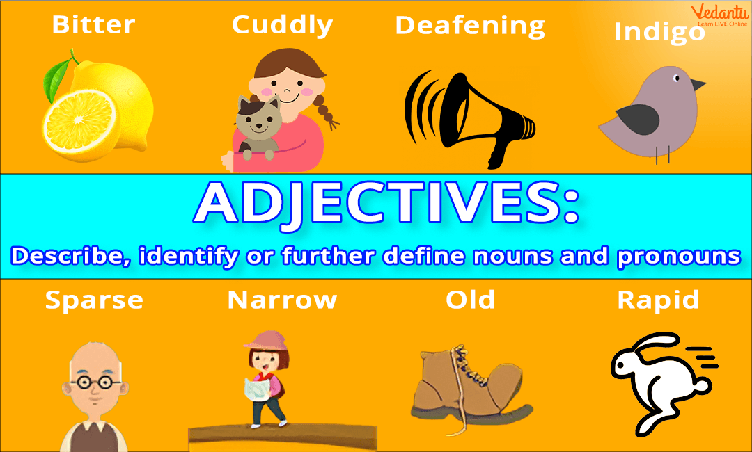 Examples of Adjectives