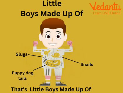 What are Little Boys Made Up Of