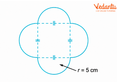 The boundary consists of four semicircles, each having a radius of 5 cm.