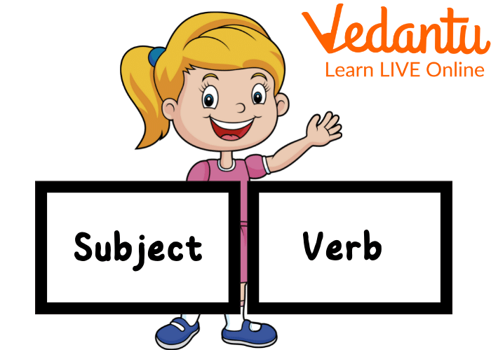 Subject and Verb in Sentence