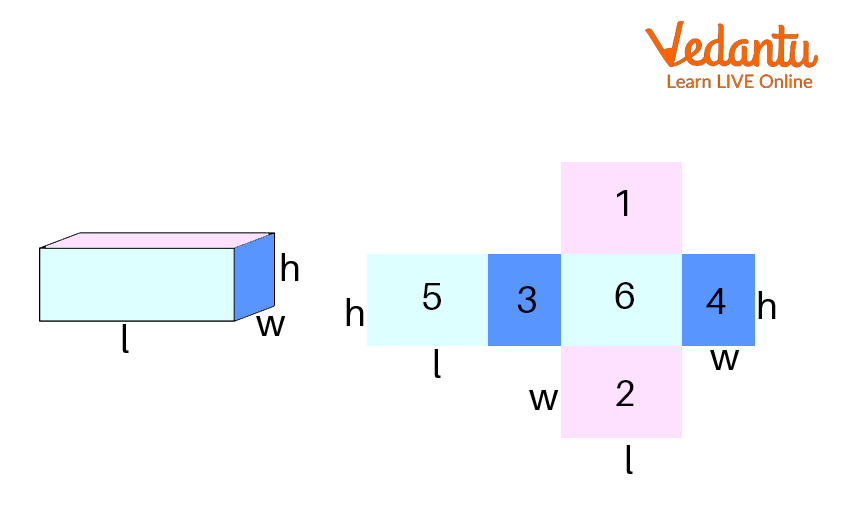 Cuboid with different faces