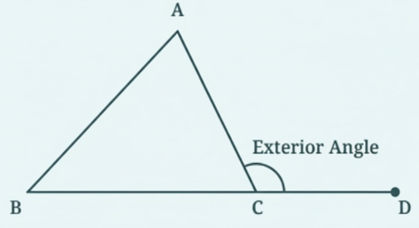 The angle formed between the extension of a side of a triangle and the other side is called an exterior angle of the triangle. In this figure, ∠ACD is an exterior angle