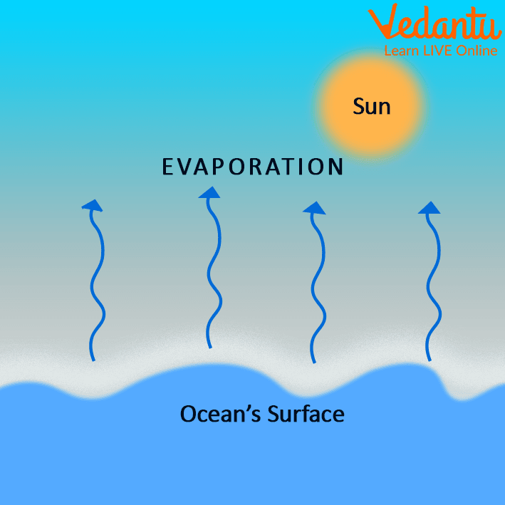 Evaporation Process