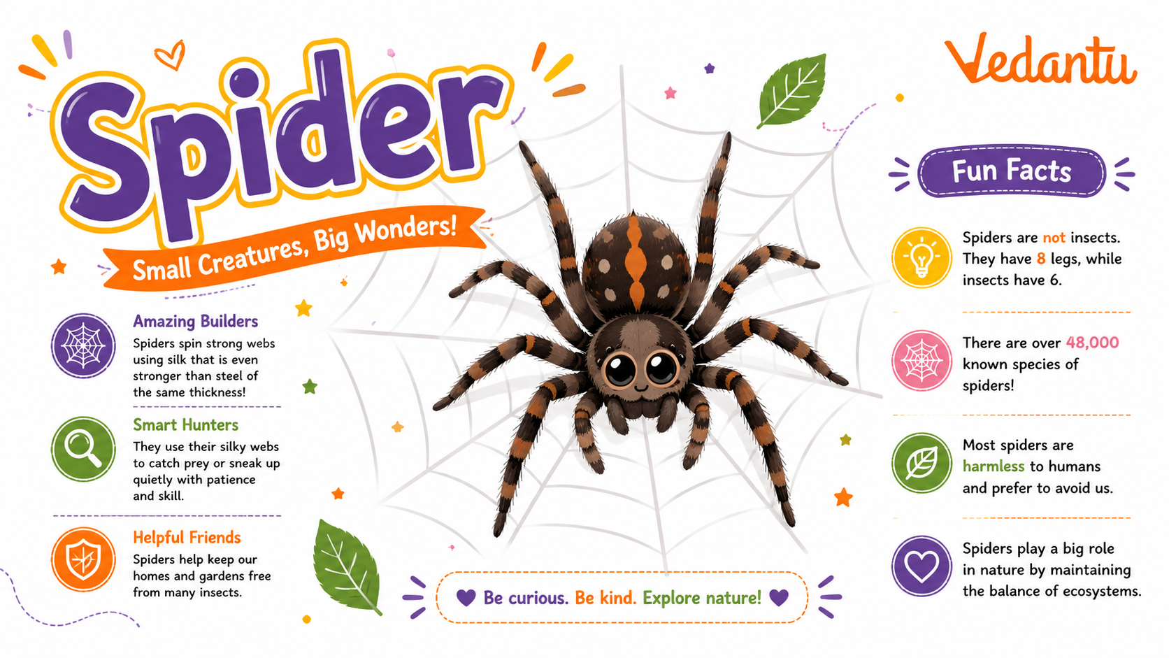 Spider