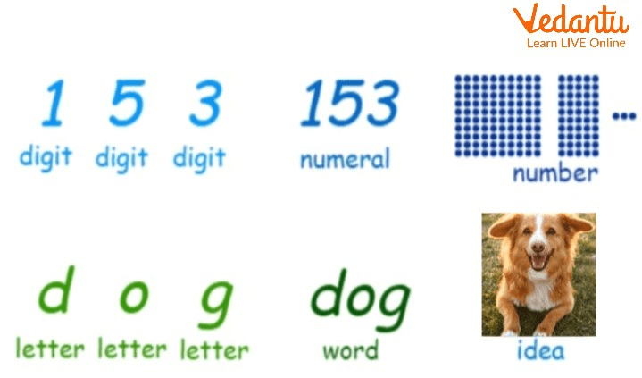 Numerals