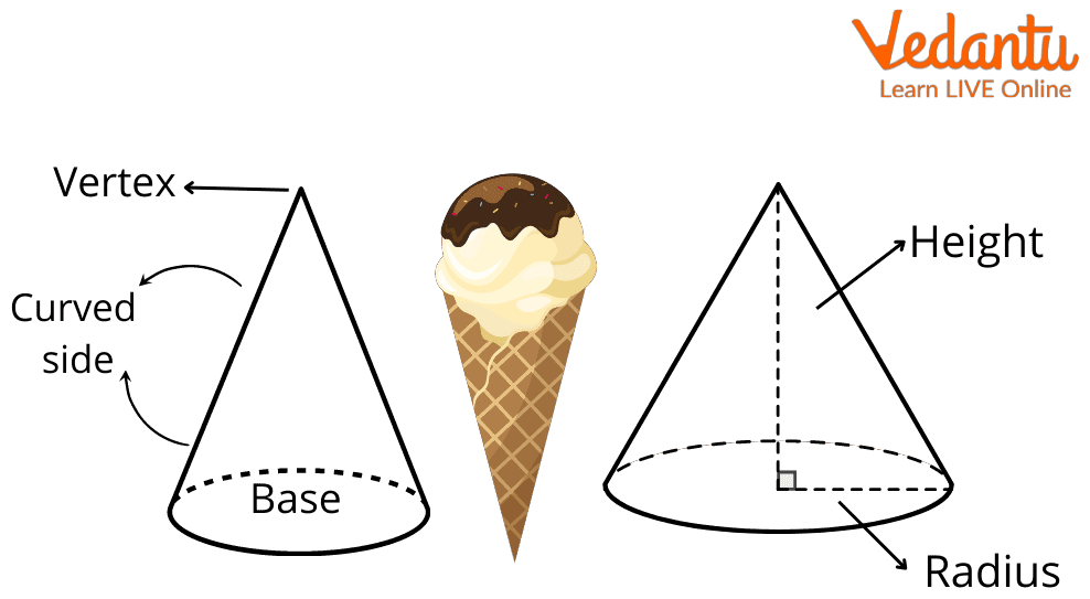 Elements of the cone shape