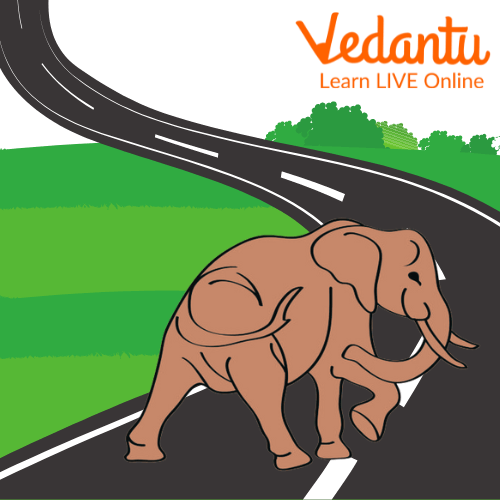 Elephant on the Road