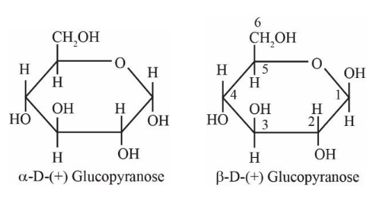 Pyranose Structure of Glucose