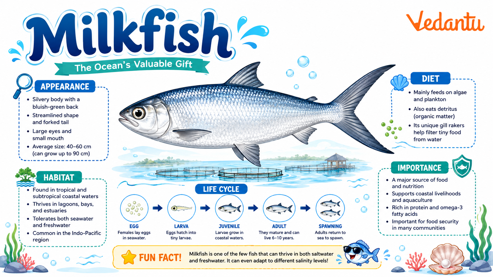 Milkfish