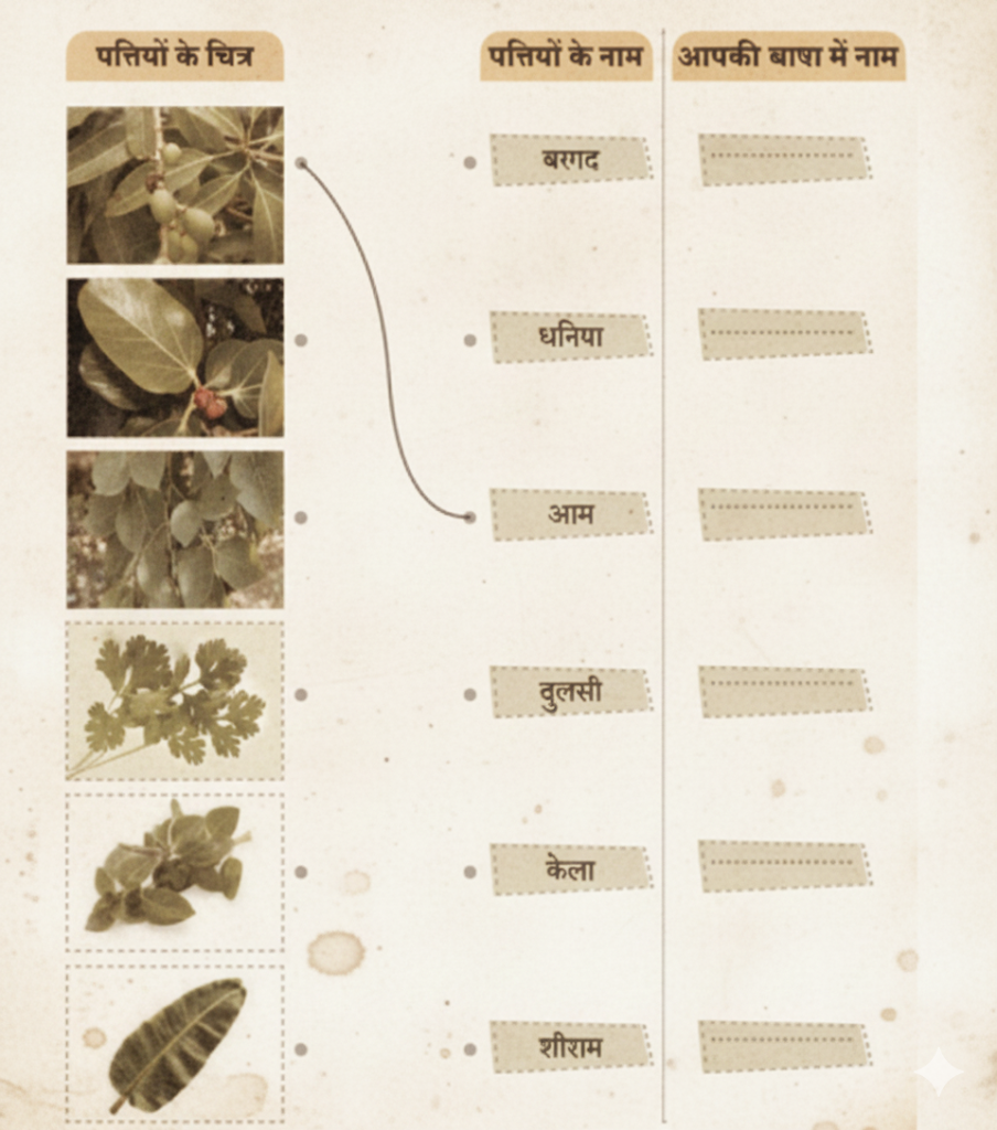 वृक्षों/पौधों की पत्तियों के चित्र