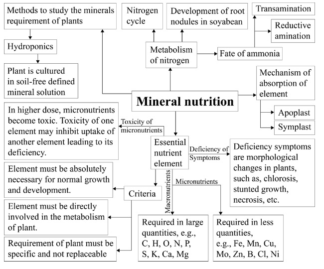 Mineral Nutrition