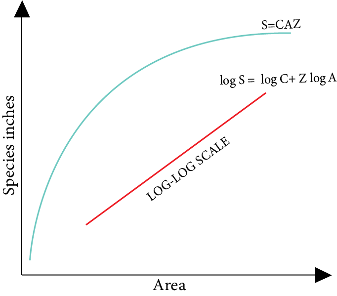 Graph Showing the Relation Between Species Richness and Area