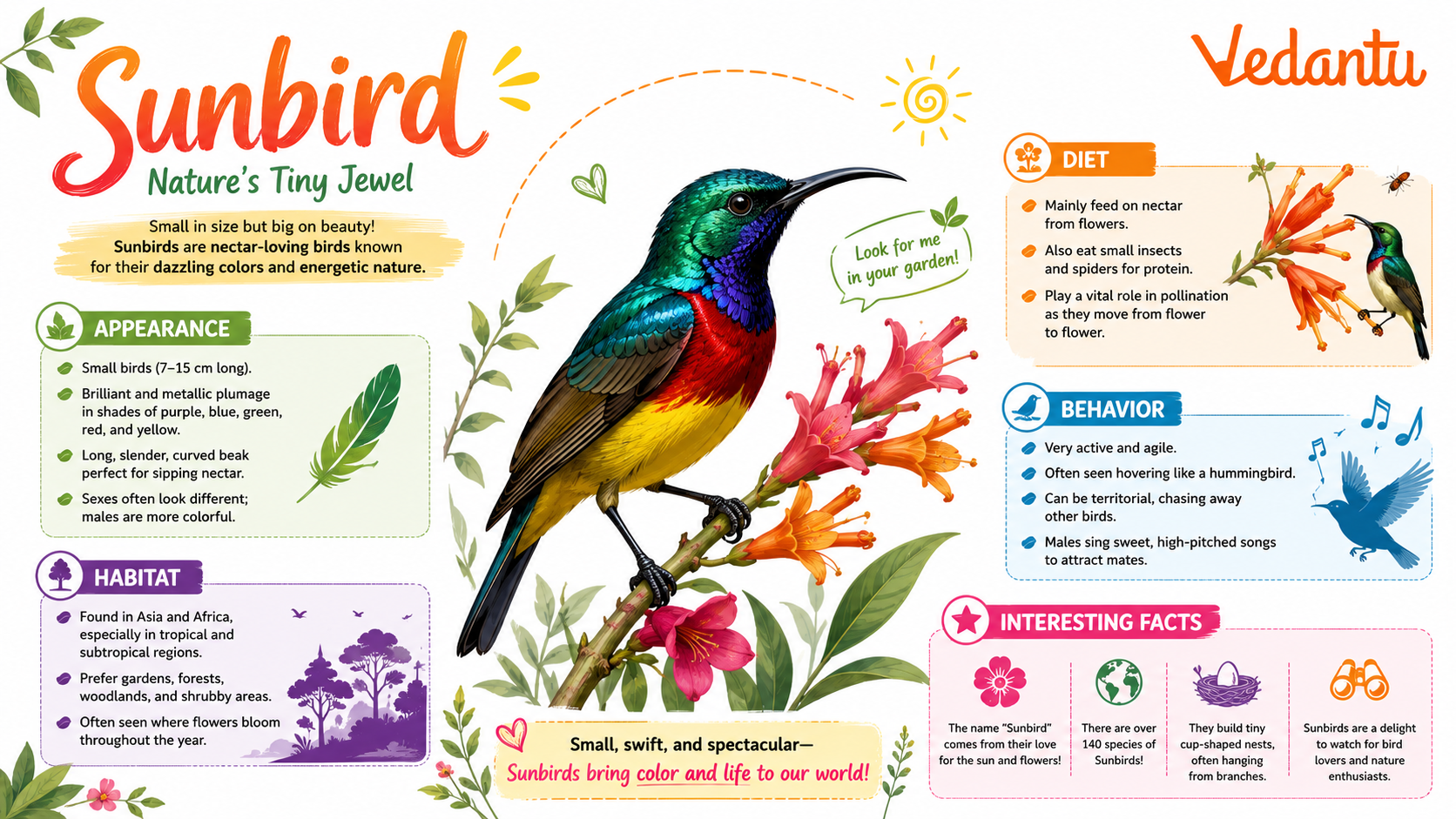 Sunbird