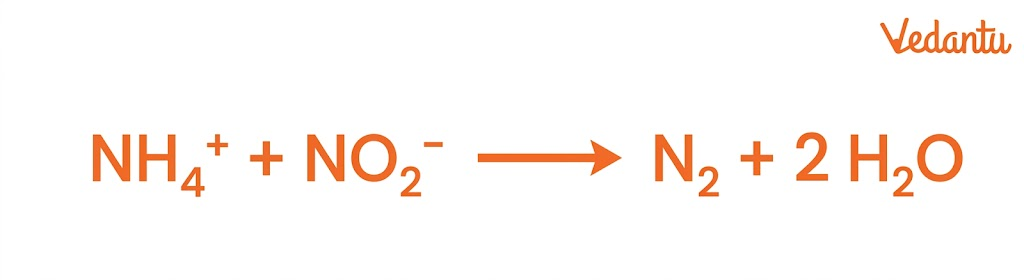 Anammox (Anaerobic Ammonia Oxidation)