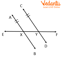 Parallel and transversal line