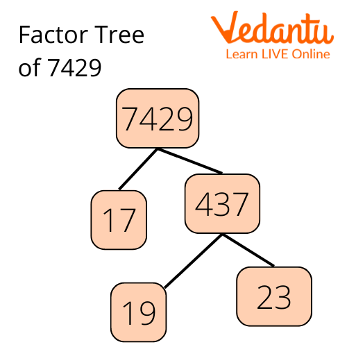 Prime Factorization of 7429 using tree method