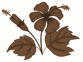 In a hibiscus flower there are 5 petals. Gulabo counted all the petals and found them to be 80. How many flowers did she have.