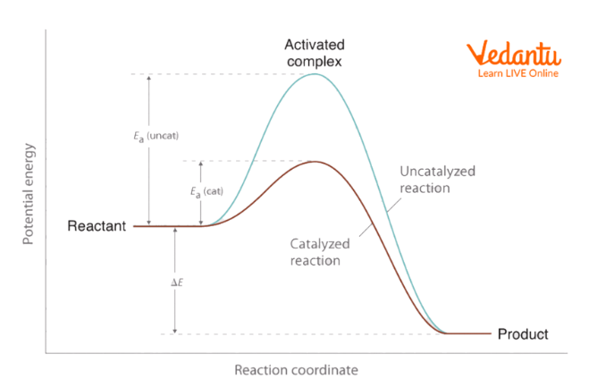 Effect of Catalyst on Reaction Rate