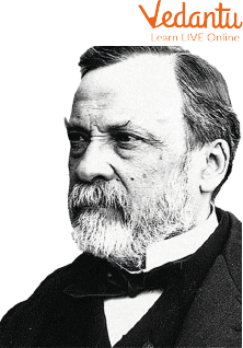 Louis Pasteur