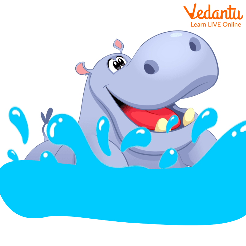The hippo enjoying the pool