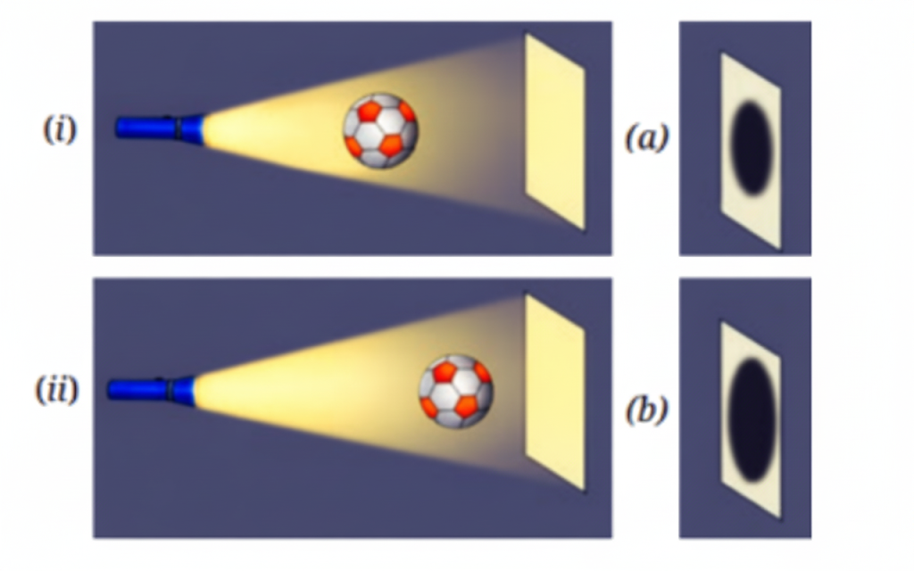 The shadow of a ball is formed on a wall by placing the ball in front of a fixed torch as shown in Fig. 11.18. In scenario (i) the ball is closer to the torch, while in scenario (ii) the ball is closer to the wall. Choose the most accurate representation of the shadows formed in both scenarios from the options provided (a and b)