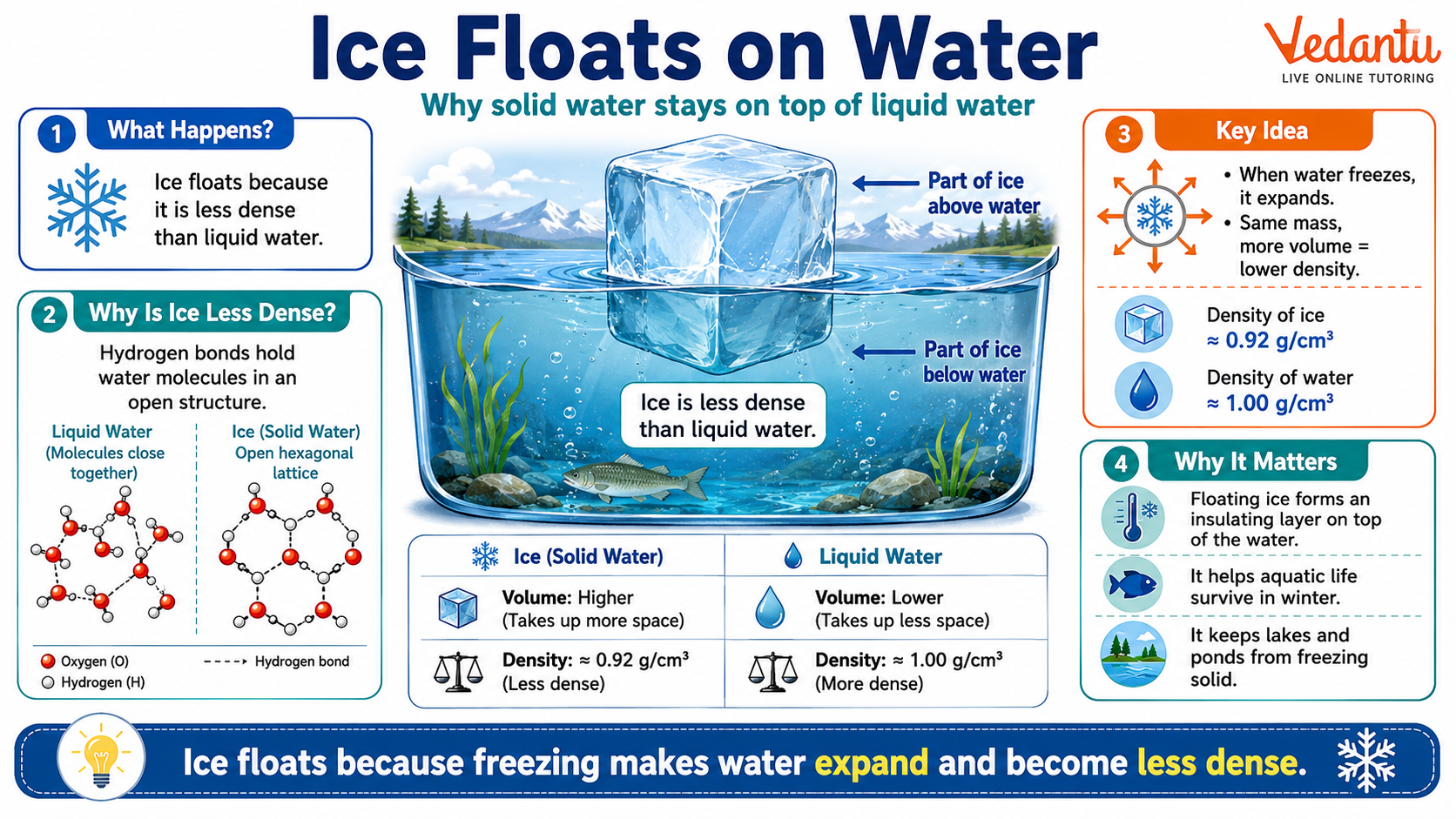 Ice Floats on Water