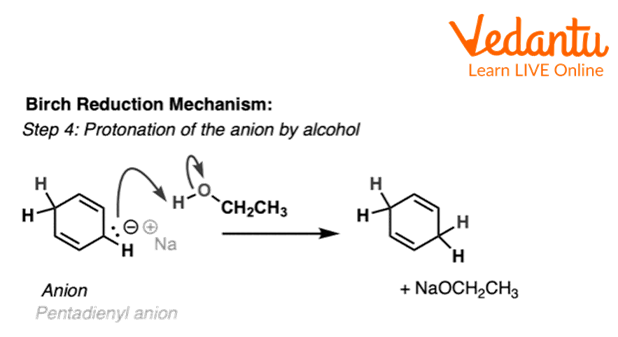 Fourth Step of Birch Reduction of Benzene