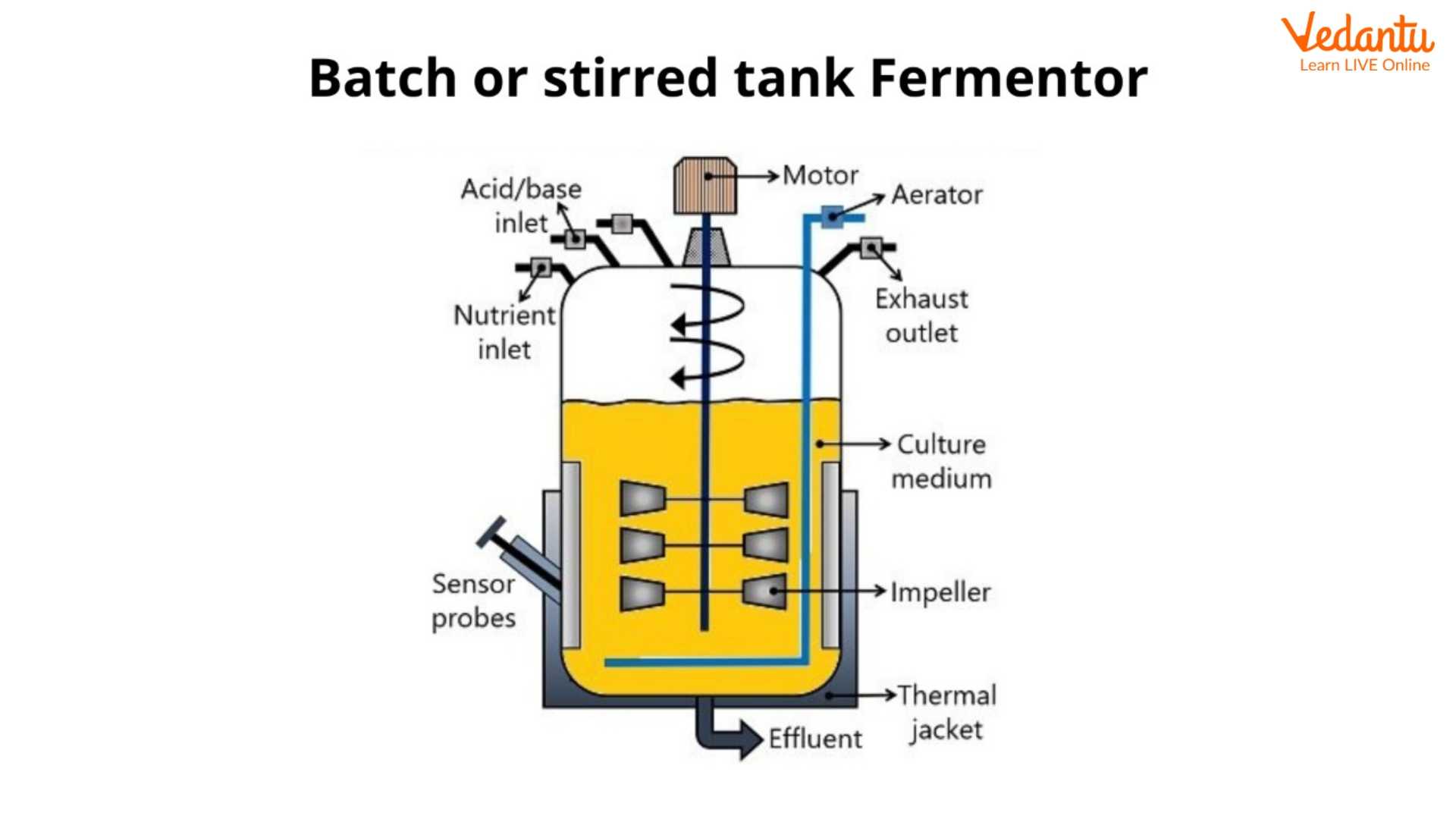 Batch fermenter