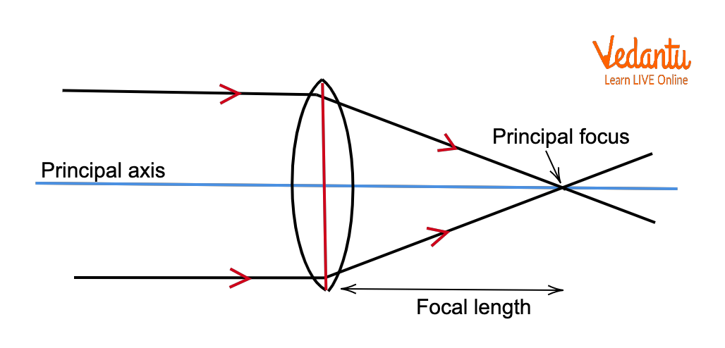 The Schematic Diagram of the Convex Lens showing the Focal Length