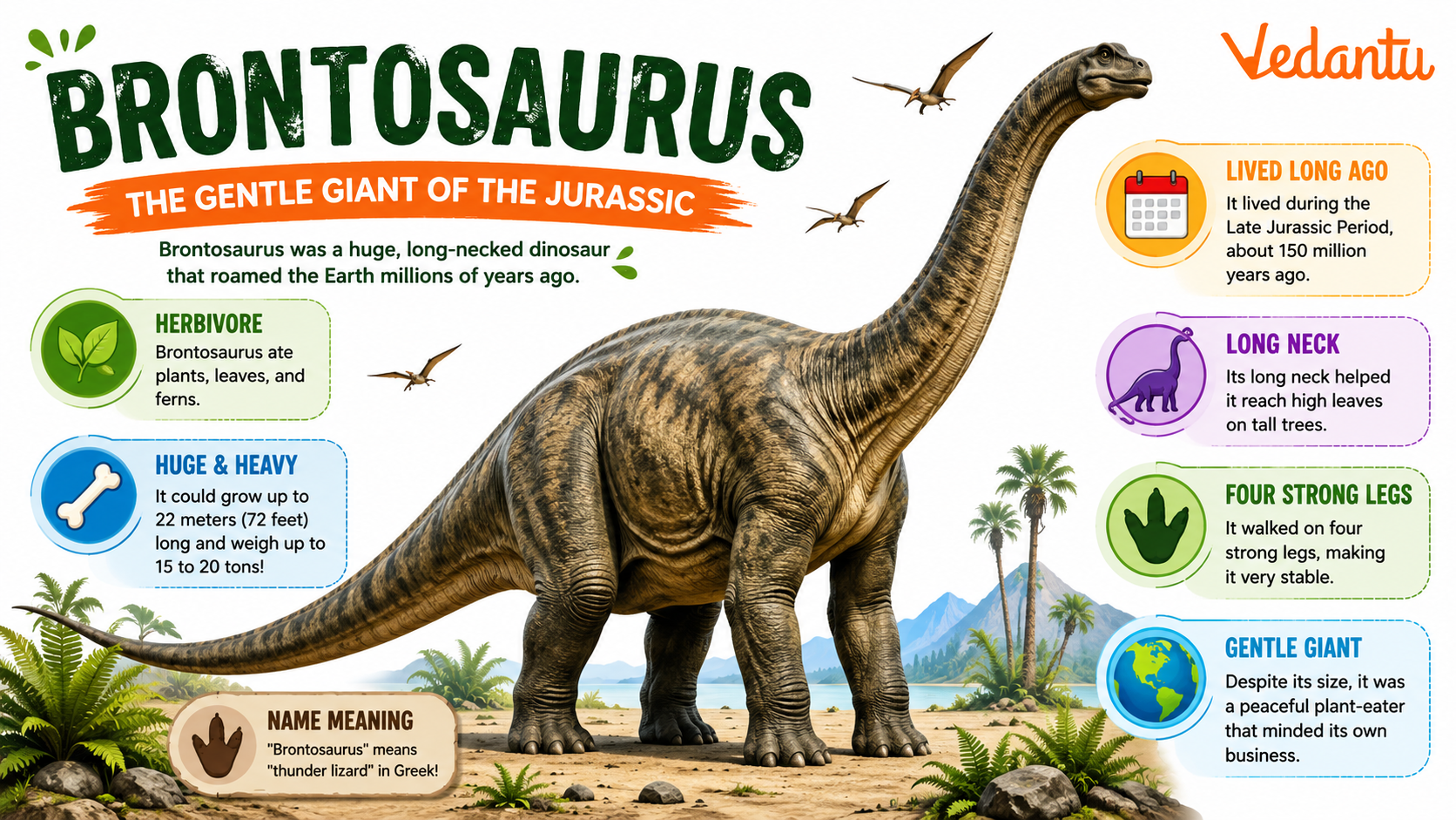 Brontosaurus dinosaur with long neck and tail