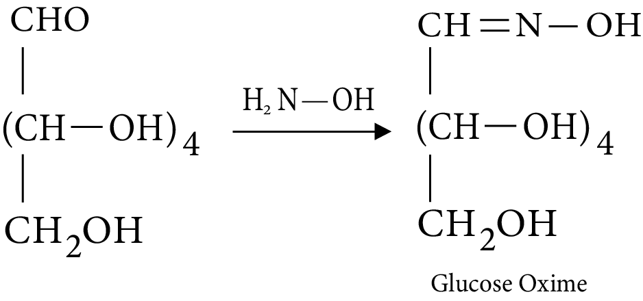 Oxime Formation by Glucose
