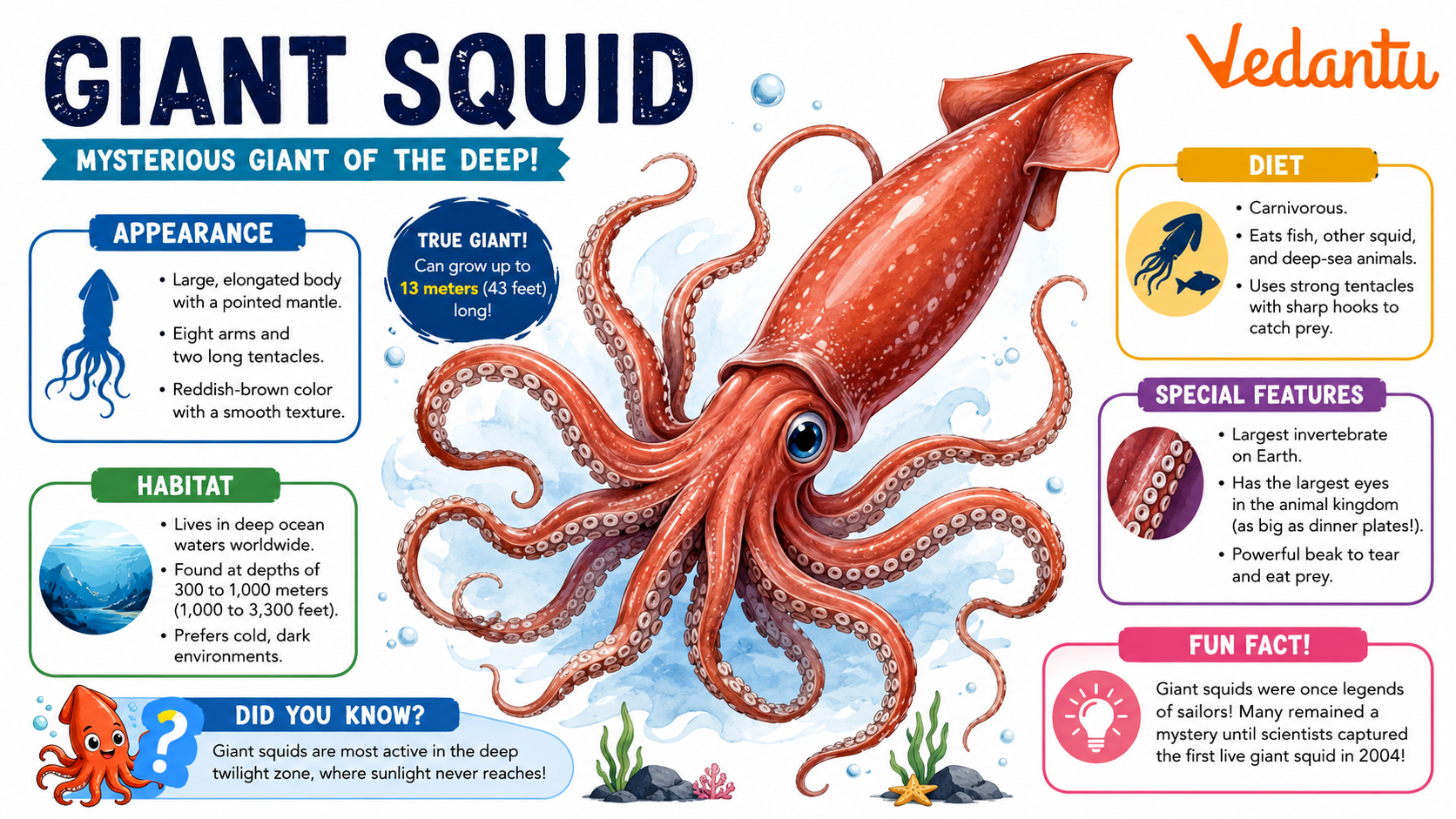 Giant Squid