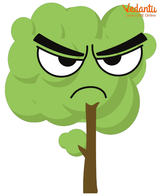 An Angry Tree