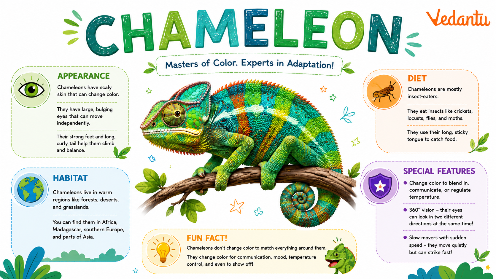 Chameleon