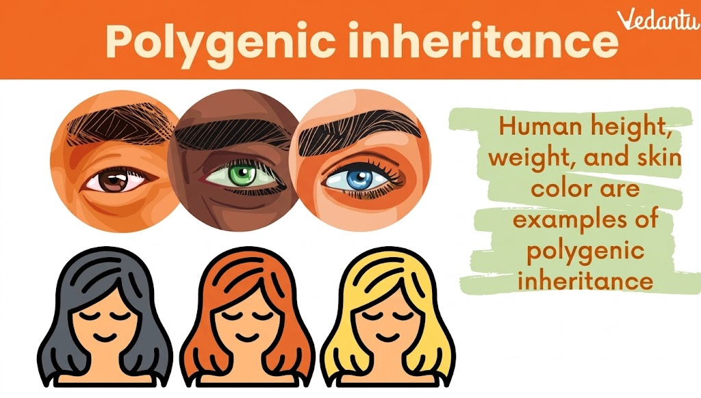 example of polygenic inheritance