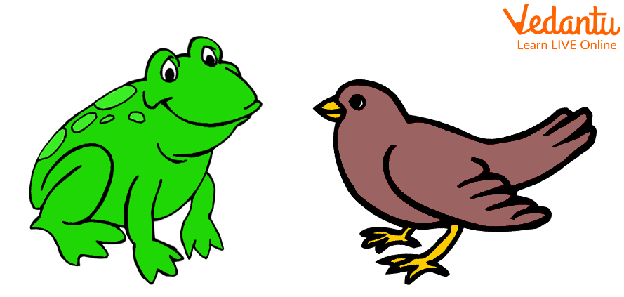 The Frog and The Bird