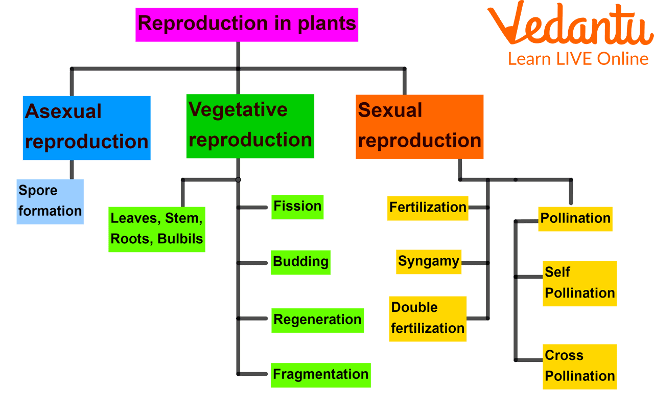 Types of Reproduction