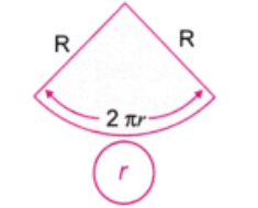 Cut along the outer boundary of the complete figure..png