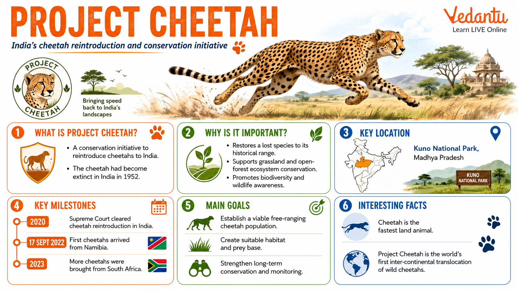 Project Cheetah
