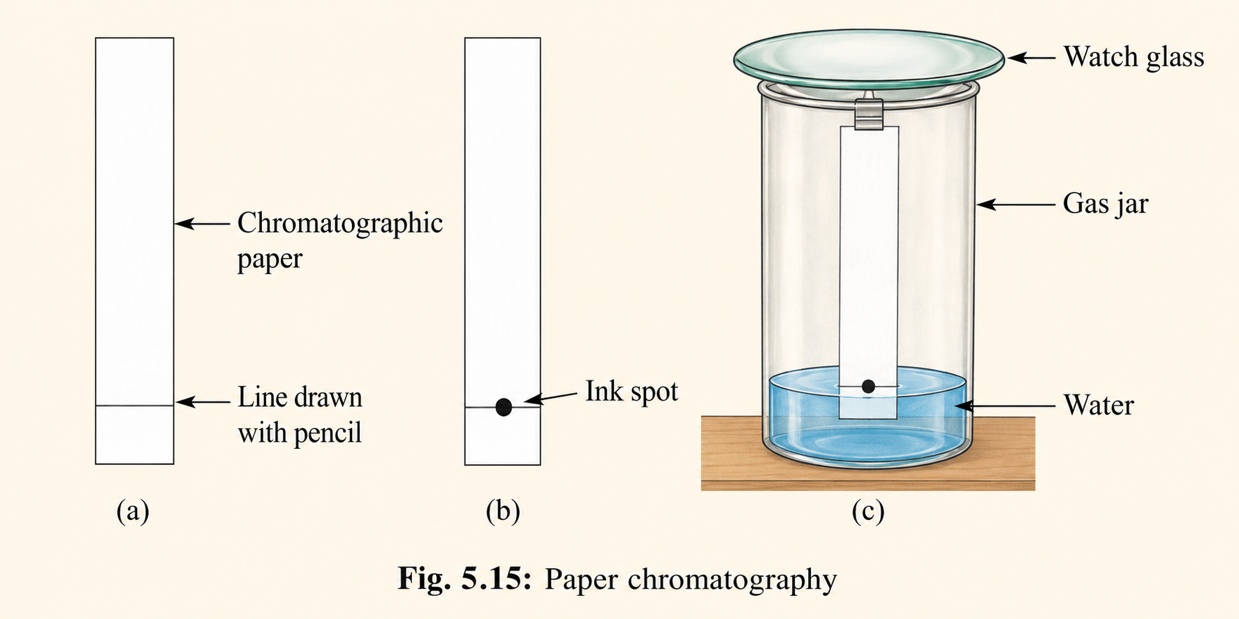 To separate the different coloured components present in black ink using paper chromatography..png