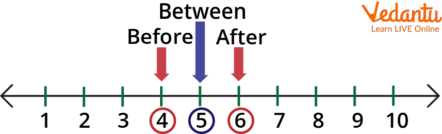 Counting Numbers Before, After, and Between