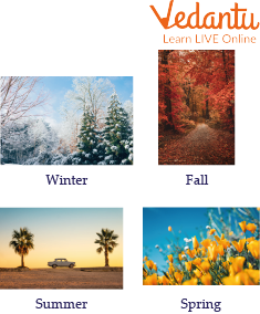 All Seasons of the Year