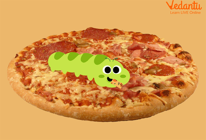 The caterpillar eating through a pizza slice
