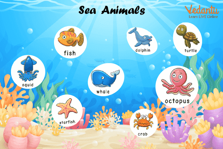 Animal Names - Learn with Examples for Kids