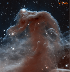 The Horsehead Nebula