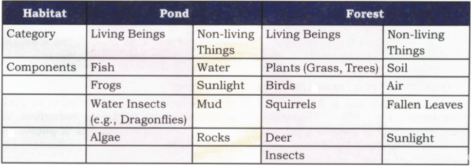 These observations were organized in a table to compare the different elements found in the two habitats.