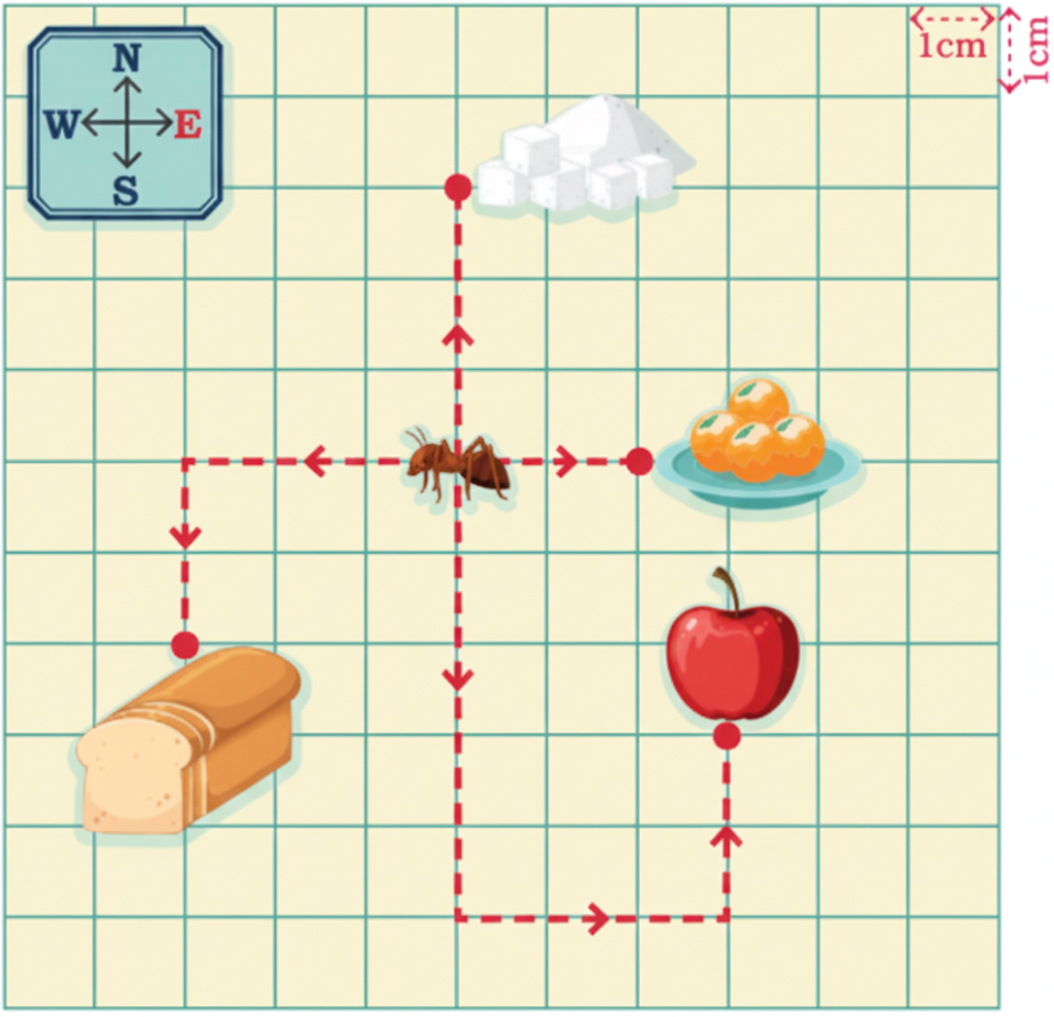 To collect food, the ant can only crawl along the dotted lines on the grid. The arrows show the direction in which the ant can move